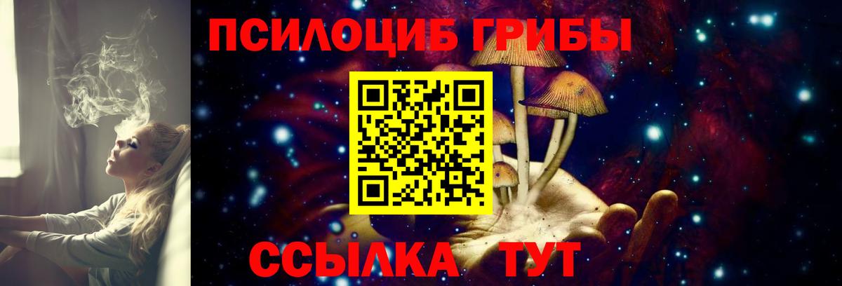 Псилоцибиновые грибы мицелий Унеча